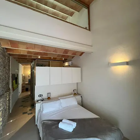 Semesterbostad Luxurious Barri Vell House - Heart Of The Old Town Girona